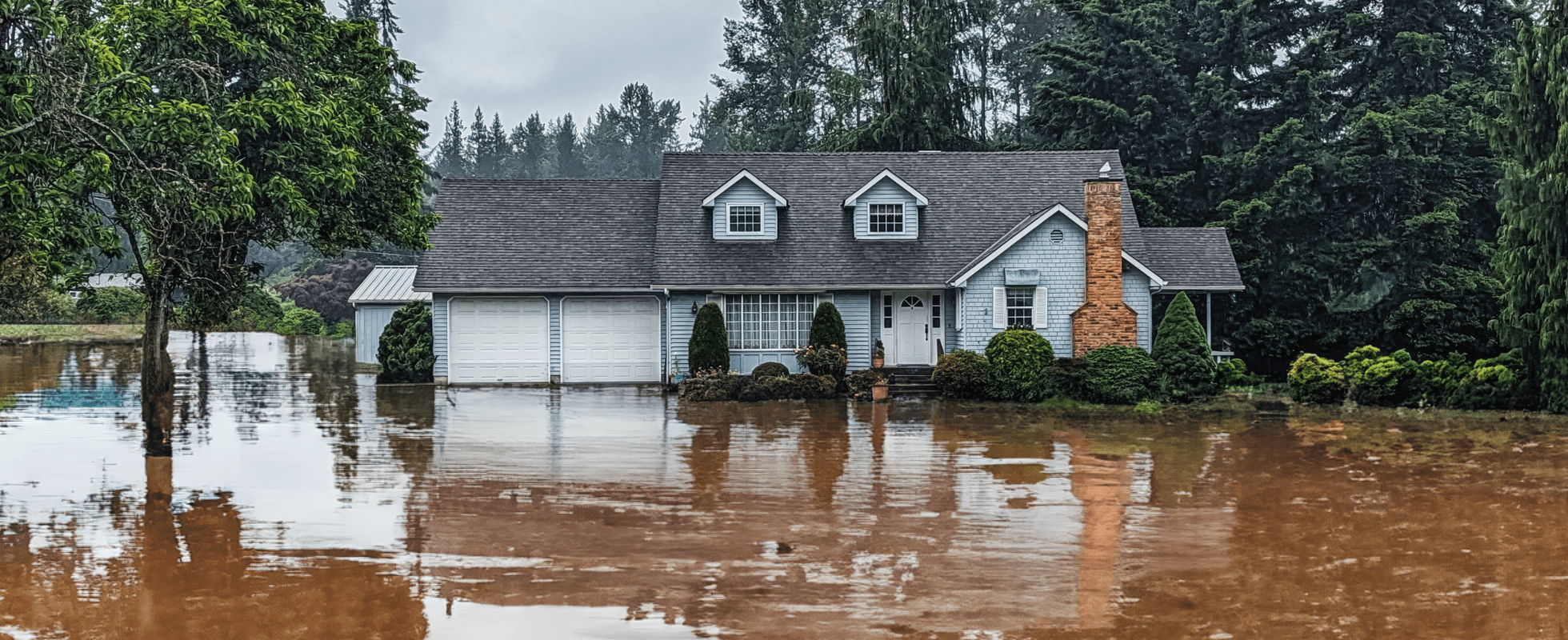 Votre Partenaire de Confiance en Gestion de Sinistres