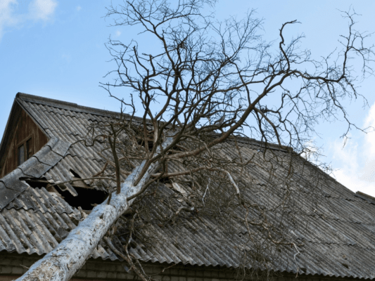 Pourquoi Faire Appel à des Experts Certifiés pour la Gestion des Sinistres : Avantages et Importance