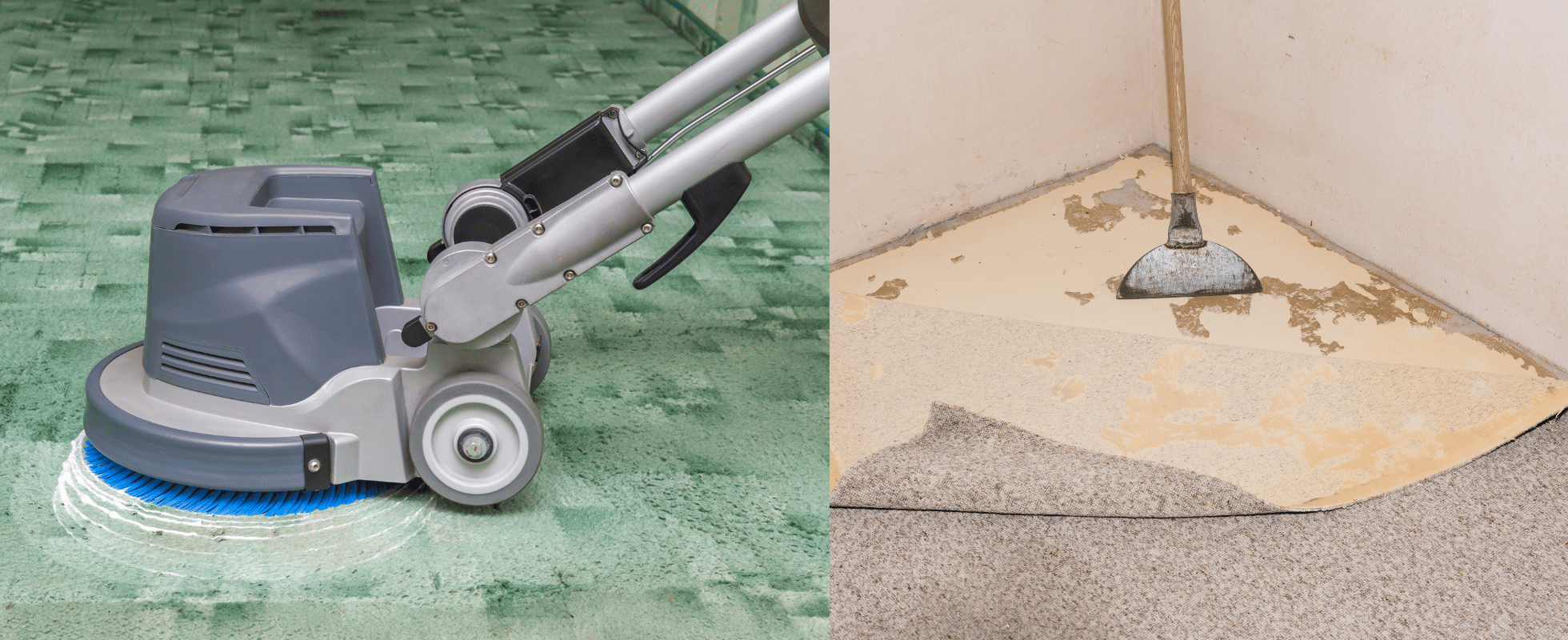 Nettoyage de Tapis et Rembourrés